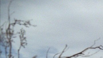 Courtesy of Fantastic Film Fest