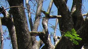 "Plaza de armas y catedral de Zamora" by Drini is licensed under CC by 4.0