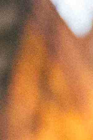 Photo by RoBeDeRo / E+