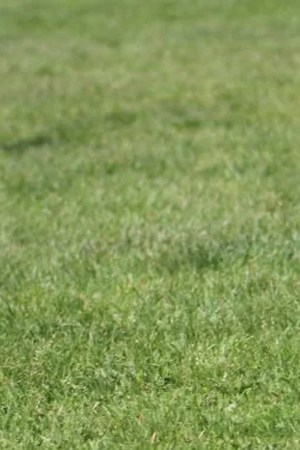 Photo is licensed under the CC BY 2.0 license.