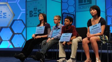 Creative Commons by Scripps National Spelling Bee is licensed under CC BY 2.0