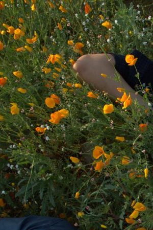 Photo by Alejandro Ohlmaier. Courtesy of Cosmica Artists