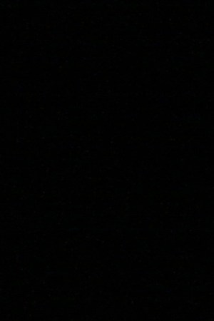 Creative Commons "Toni Morrison 2008” by Angela Radulescu is licensed under CC BY 2.0