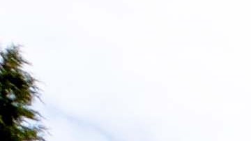 A woman, with face covered, passes by a mural painting in the Oventic village in Chiapas, run by Zapatistas. 
Photo by Dekaro / iStock Editorial / Getty Images Plus