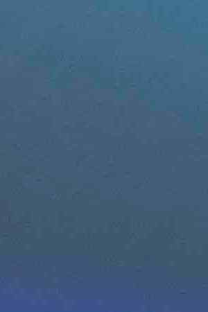 Amara la Negra by Tatiana Nancy. Courtesy of Afro-Latino Fest