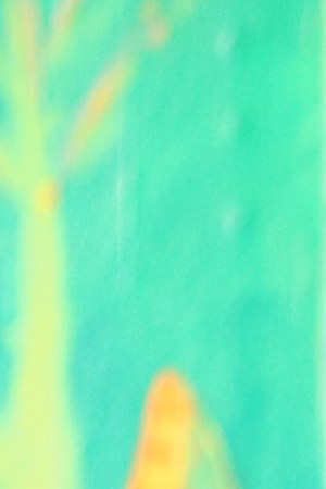 Angela and Roberto Flores of Eastside Cafe. Photo by Samanta Helou, courtesy of photographer.