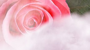 Art by Alan López for Remezcla