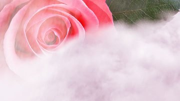 Art by Alan López for Remezcla