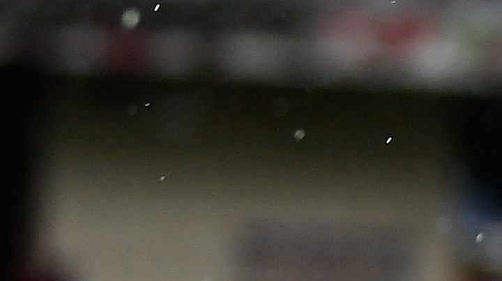 Chicharito