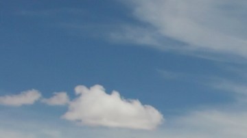 Photo by SoleilC / iStock / Getty Images Plus