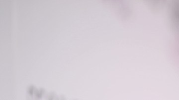 Editorial / Getty 2017