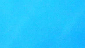 Photo: Bennett Raglin / Getty Images Entertainment