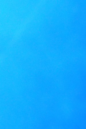 Photo: Bennett Raglin / Getty Images Entertainment