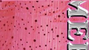 Photo by Angel Reyes. Courtesy of Iris Creamer