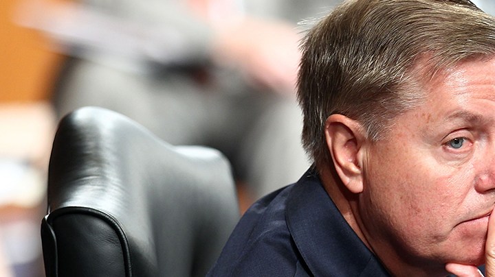 Senator Lindsey Graham. Photo by Alex Wong / Staff / Getty Images News