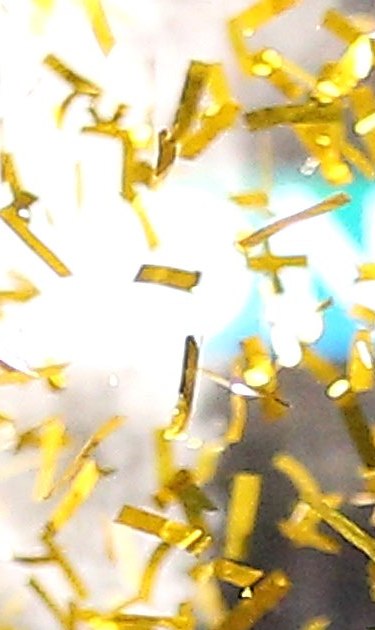 Gold Cup