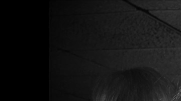 Courtesy of XLrator Media