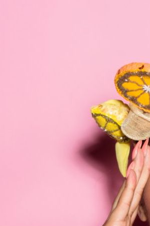 Courtesy of Nitty Scott