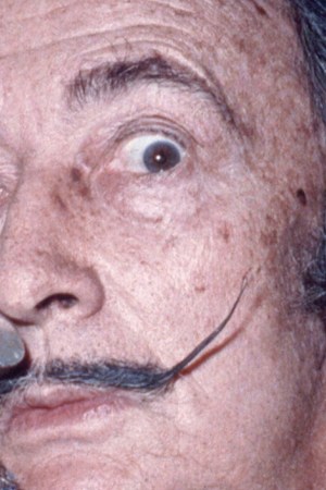 Creative Commons by Allan Warren is licensed under CC BY 3.0