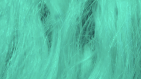 jessica hernandez & the deltas 2017