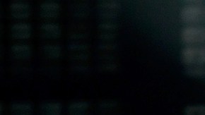 Singer Luis Miguel performs during the first of four sold-out shows at The Colosseum at Caesars Palace. Photo by Ethan Miller / Staff / Getty Images Entertainment