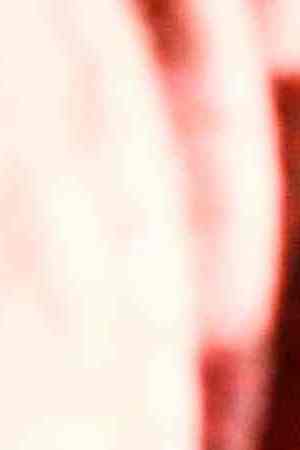 Ruido Fest 2017. Photo by Itzel Alejandra Martinez for Remezcla