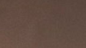 Sergeant Shane Ortega. Photo via Twitter.