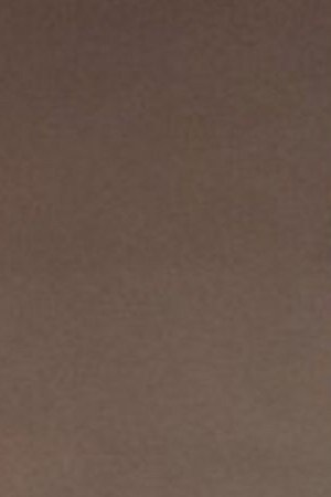 Sergeant Shane Ortega. Photo via Twitter.