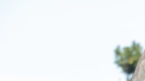 ©2017 CTMG, Inc. Courtesy of Sony Pictures Entertainment