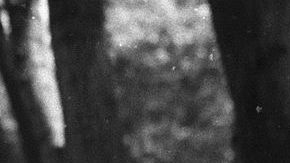 Cesar Chavez — speaking at the Delano UFW−United Farm Workers rally, in Delano, California (June 1974). CC BY 3.0, Link