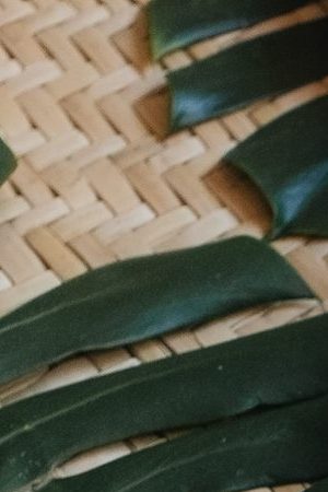 Courtesy of Korimi Kids.