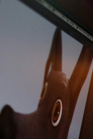 Byron Bashforth working on 'Coco' at Pixar Animation Studios. Photo by Deborah Coleman. Courtesy of Pixar