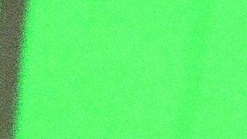 Courtesy of the artist