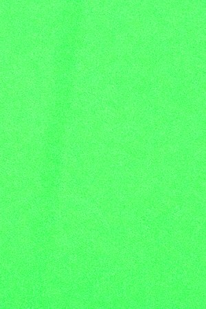 Courtesy of the artist