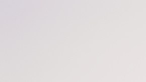 Courtesy of Pink Forest Films