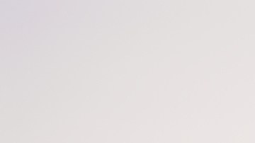 Courtesy of Pink Forest Films