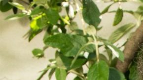 Photo by Itzel Alejandra Martinez for Remezcla