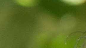 Photo by Itzel Alejandra Martinez for Remezcla