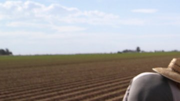 Mexican farm workers hoe a cabbage field on September 27, 2016 Holtville, California. Photo by John Moore/Getty Images News