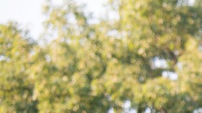 The statue of Confederate General Thomas Stonewall Jackson stands at the West Virginia State Capitol Complex on August 16, 2017 in Charleston, West Virginia. Photo by Ty Wright/Getty Images News