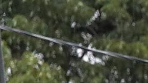Vincente Navas (L) and Alma Barrientos stand outside their home in the Cottage Grove neighborhood which has been inundated with floodingf from Hurricane Harvey on August 27, 2017 in Houston, Texas. Photo by Scott Olson/Getty Images News