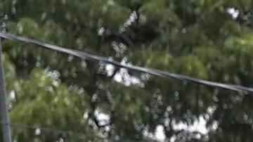 Vincente Navas (L) and Alma Barrientos stand outside their home in the Cottage Grove neighborhood which has been inundated with floodingf from Hurricane Harvey on August 27, 2017 in Houston, Texas. Photo by Scott Olson/Getty Images News