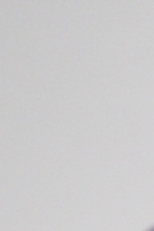 Television personality Geraldo Rivera attends the 2009 North Shore Animal League America's 4th annual DogCatemy gala at Cipriani, Wall Street on November 5, 2009 in New York City.  Photo by Neilson Barnard/Getty Images Entertainment