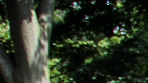 Photo by Pedro Cruz, courtesy of photographer.