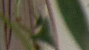 Krystal Quiles in her home studio in the Bronx. Photo by Itzel Alejandra Martinez for Remezcla