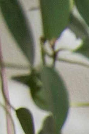 Krystal Quiles in her home studio in the Bronx. Photo by Itzel Alejandra Martinez for Remezcla