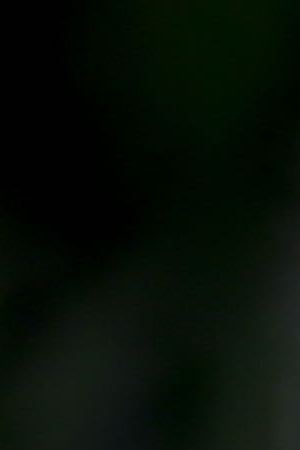 Photo by CMW Media/Christian Rodas. Courtesy of Priscilla Vilchis.