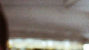 'Cocote' still courtesy of Toronto Film Festival.