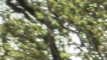 Photo by Itzel Alejandra Martinez for Remezcla