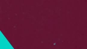 fertil discos _music